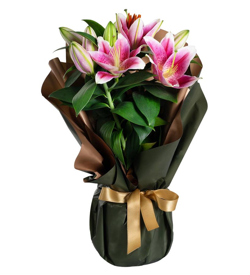 Sedefli Buket Kağıtlı Pembe Lilyum