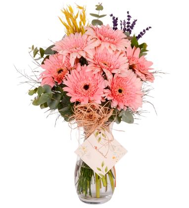 Pembe Gerbera Vazosu