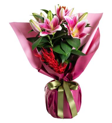 Fuşya Ambalaj Kağıtlı Pembe Lilyum Bitkisi